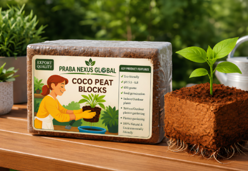 Coco Peat Block 650g