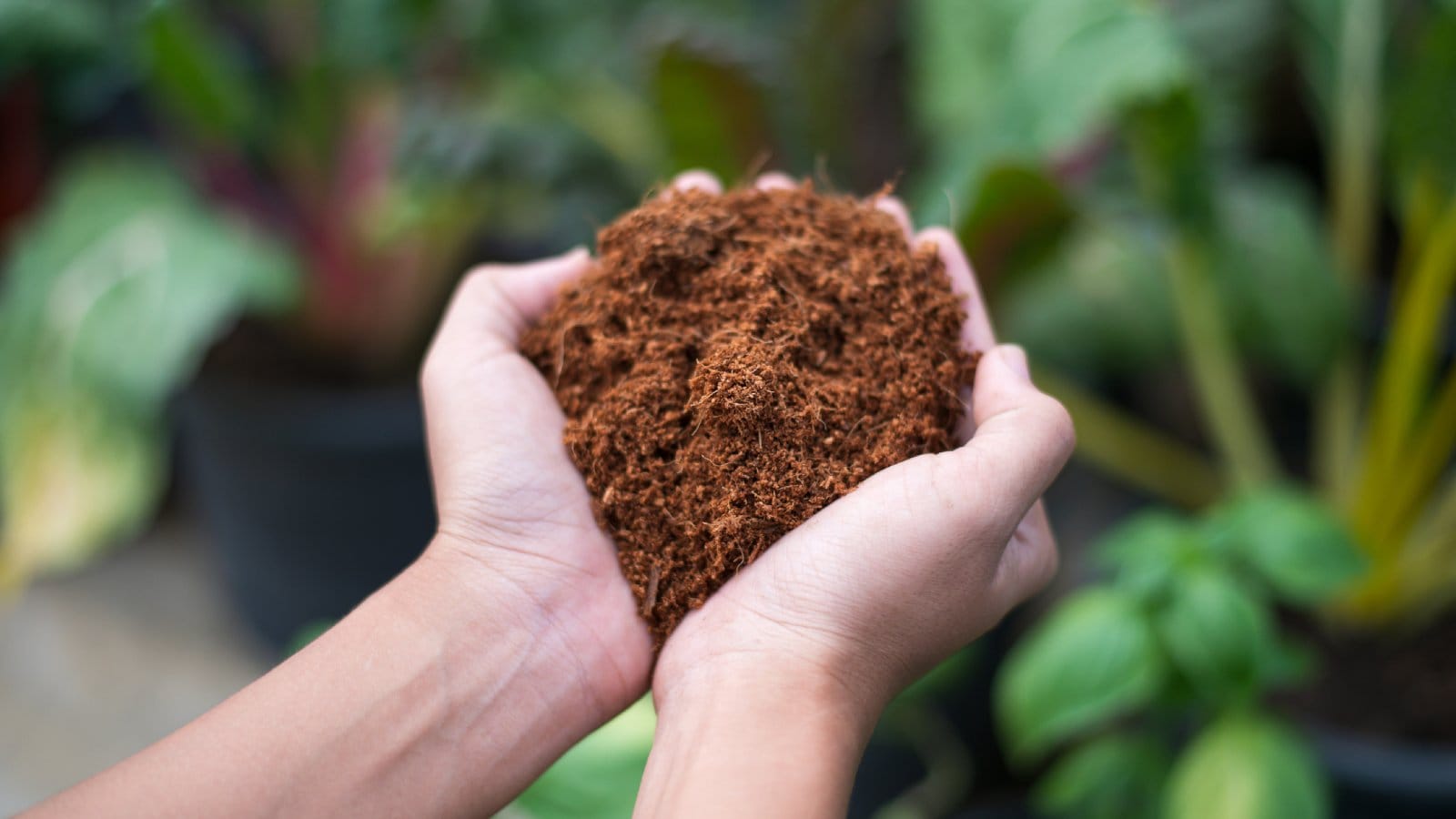 Praba Nexus Raw Materials
